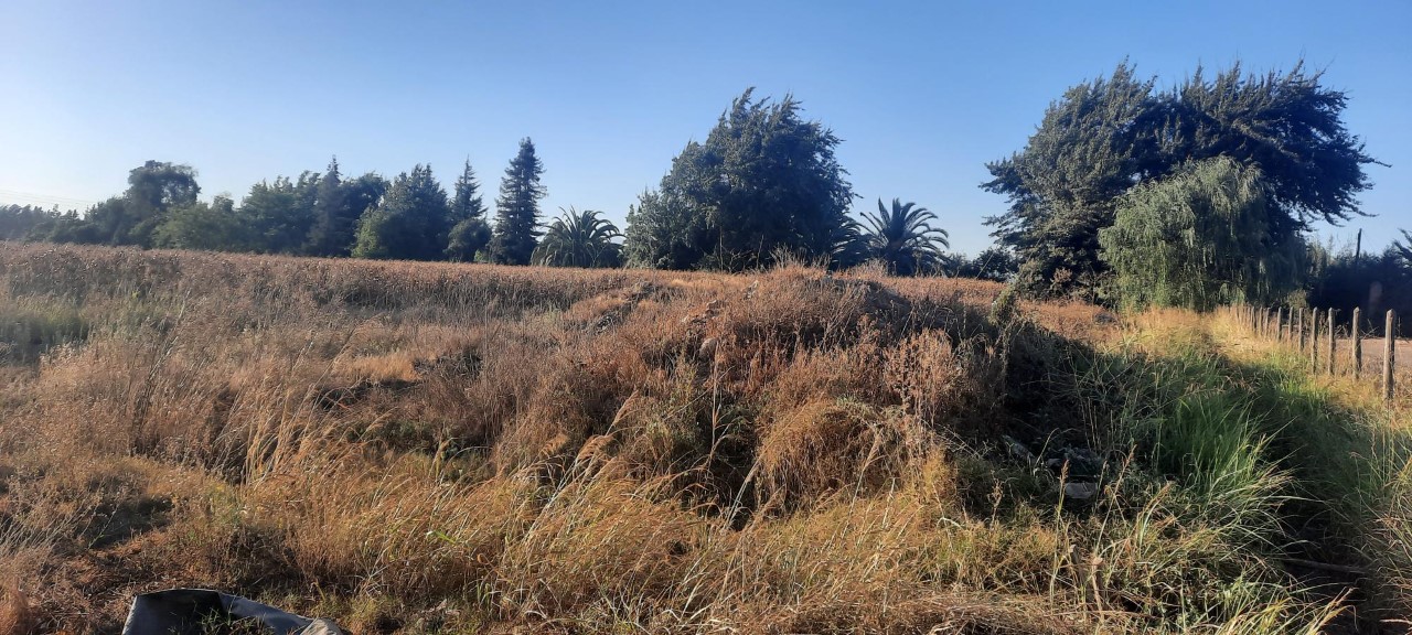 7,3 HAS. LA CAPILLA, LO DE LOBOS