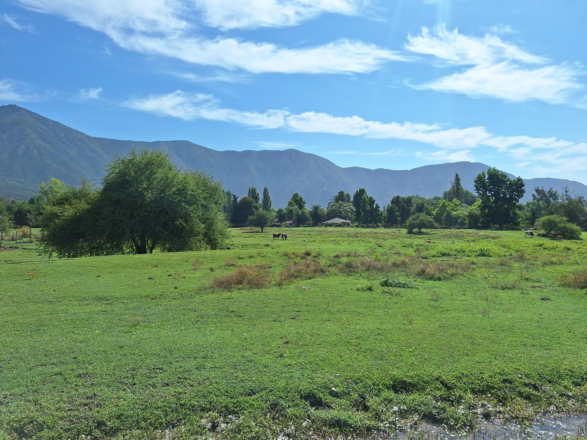 TERRENO LO MIRANDA 2,5 ha